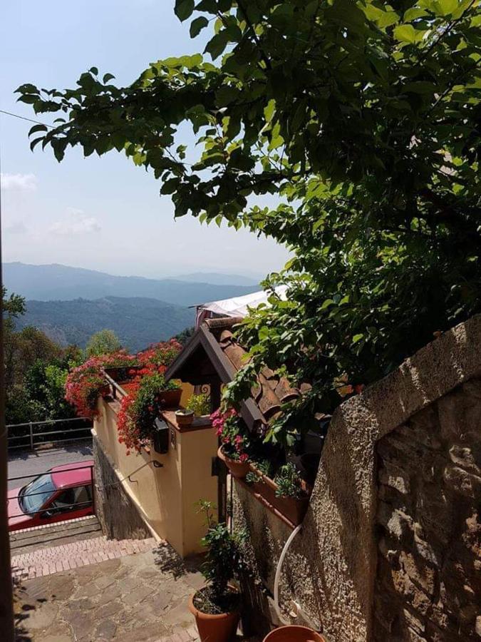 B&B Antonella Perito Exterior photo